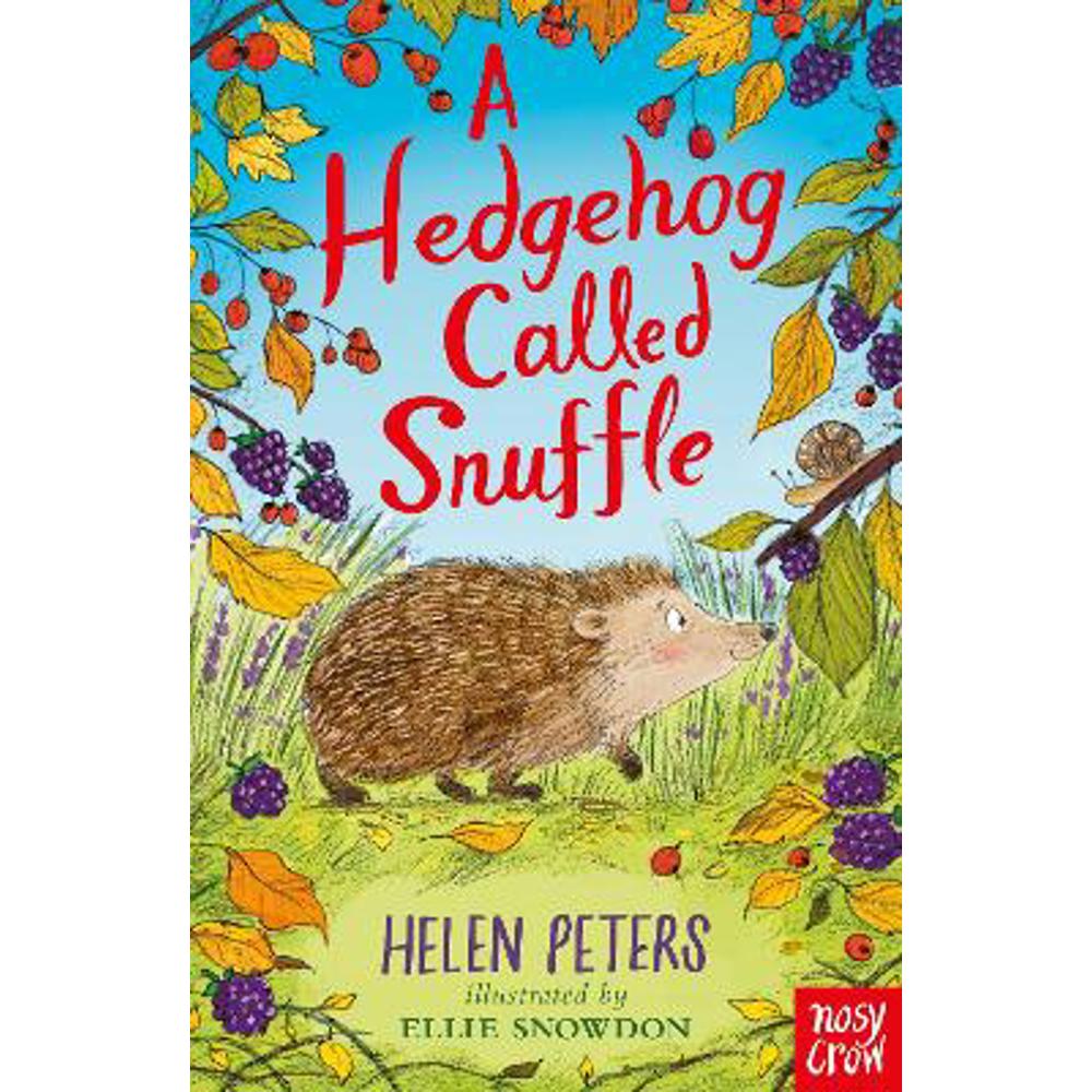 A Hedgehog Called Snuffle (Paperback) - Helen Peters